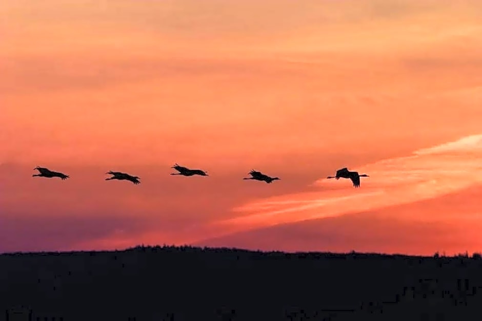 Schloss Krugsdorf Golf & Hotel