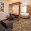SpringHill Suites by Marriott Philadelphia Airport/Ridley Park