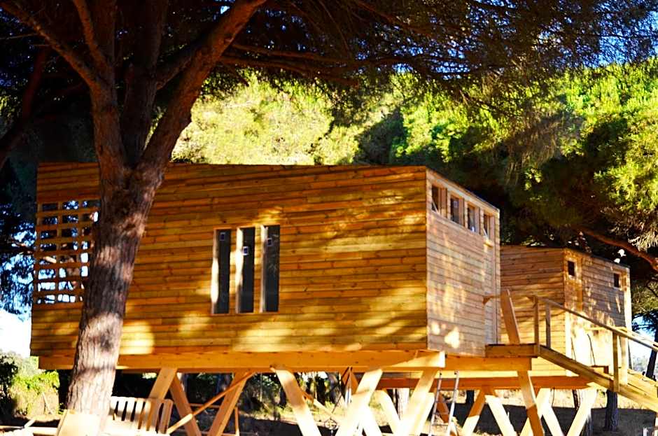 miCielo - Baumhäuser