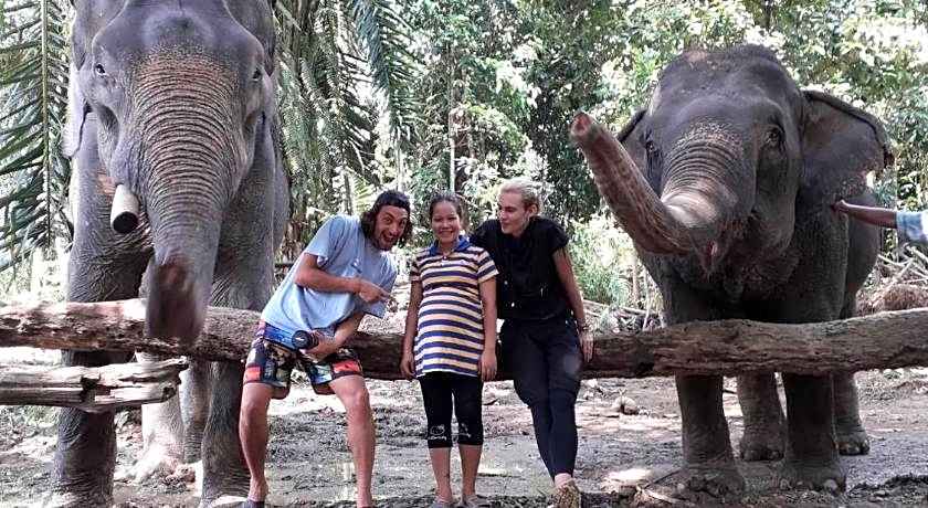 Khao Sok Evergreen House