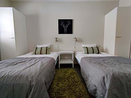 Three-Bedroom Villa with Sauna