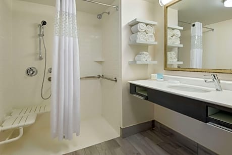2 Queen Mobility Hearing Accessible Roll In Shower Studio Non-Smoking