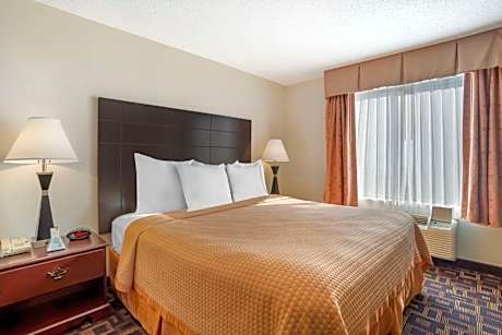 King Suite with Single Sofa Bed