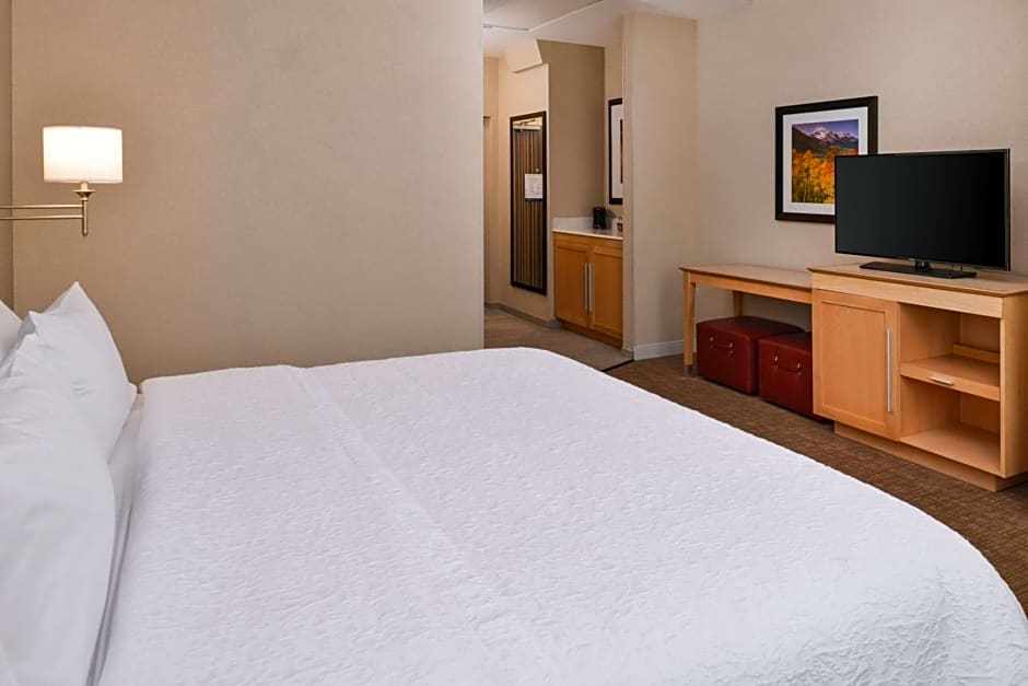 Hampton Inn By Hilton & Suites Denver-Speer Boulevard
