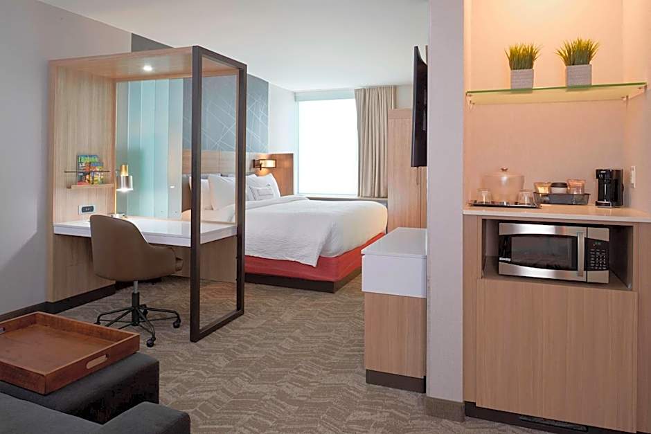 SpringHill Suites by Marriott East Lansing University Area