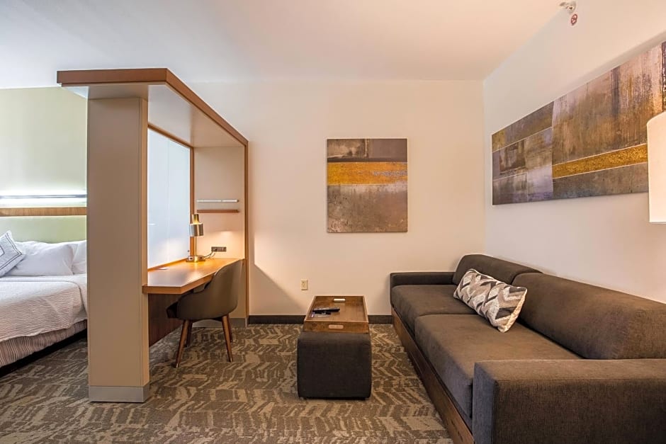 SpringHill Suites by Marriott Houston Rosenberg