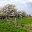 B&B De Vroling
