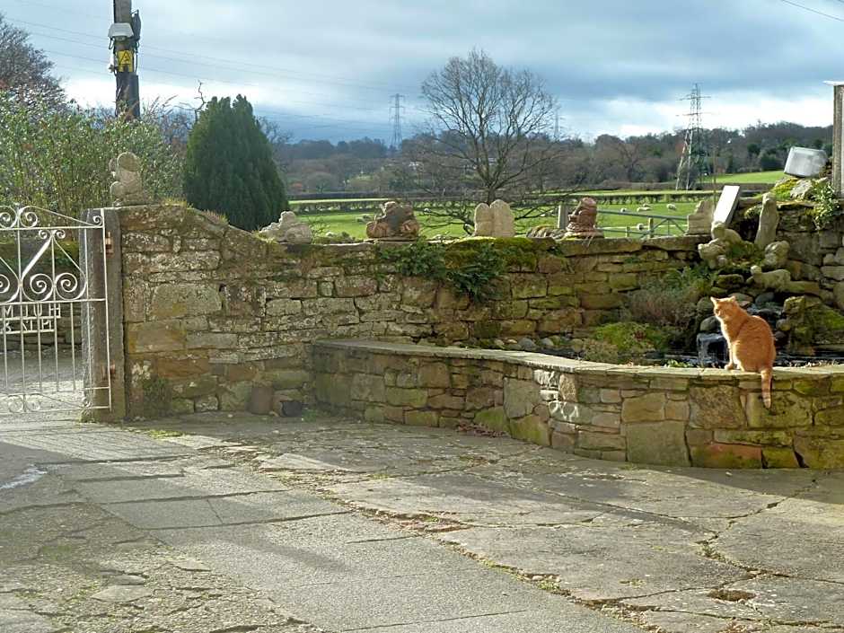 Oakenholt Farm Bed and Breakfast