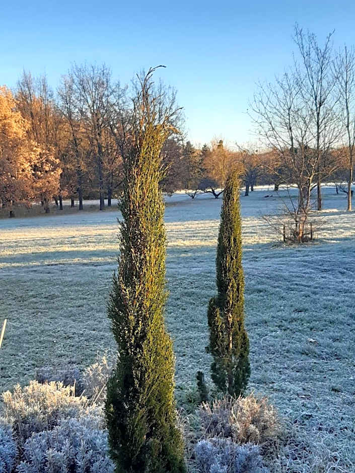 Domaine de Chalaniat