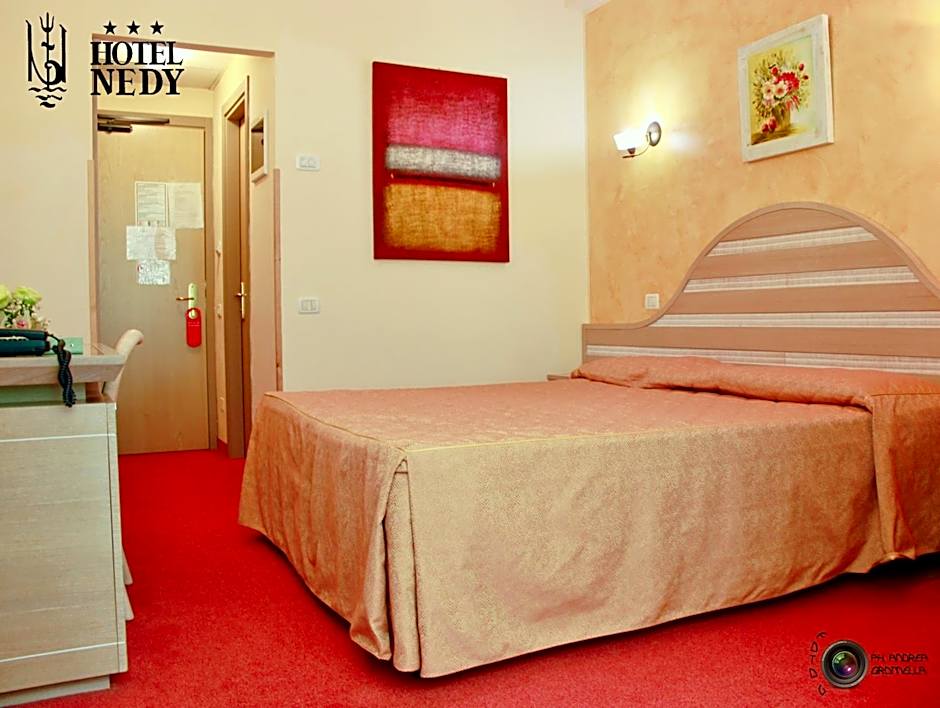 Hotel Nedy