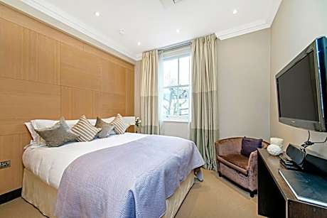 Deluxe One-Bedroom Apartment