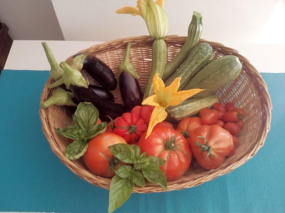 B&B Elfo degli Ulivi