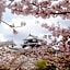 Matsuyama New Grand Hotel