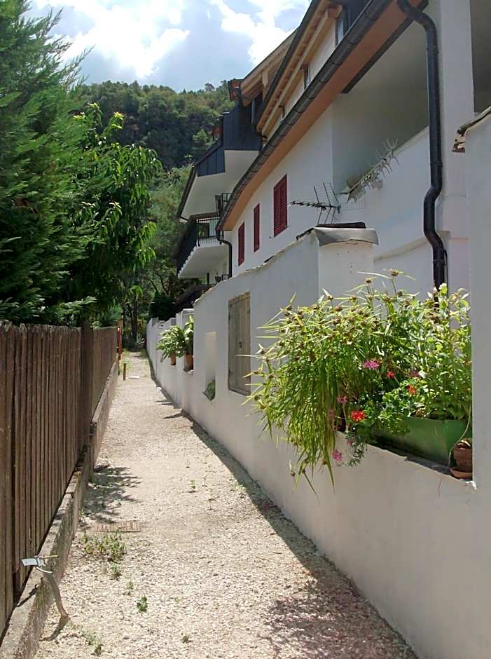 Pension Flora Albergo