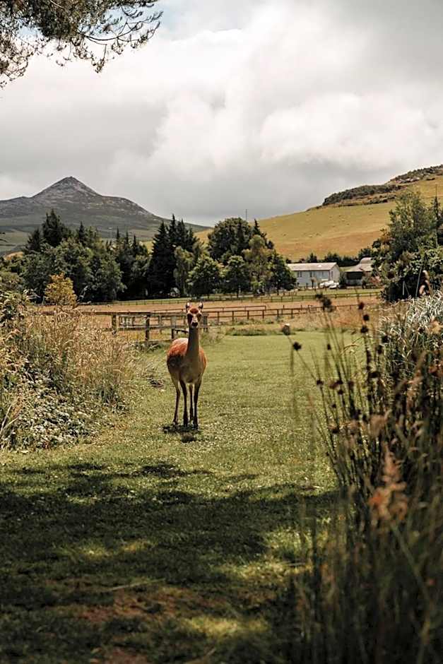 Powerscourt Springs Health Farm
