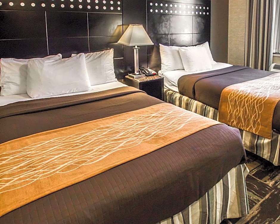 Rodeway Inn Bronx Zoo