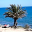 Summer Dream Cyprus
