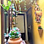 Inn The Garden