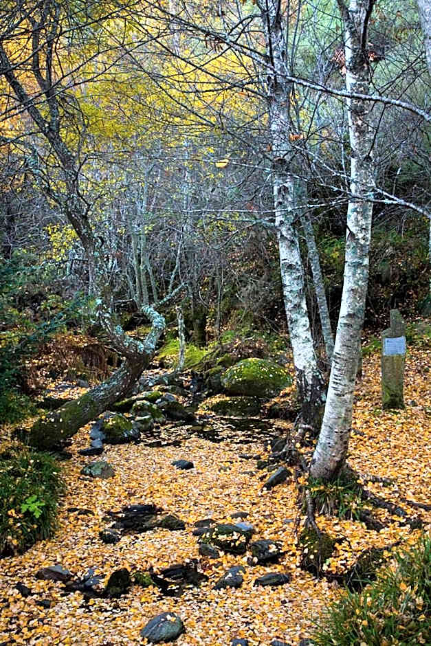 HOTEL RST. PADORNELO