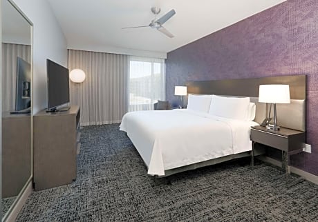 1 King Bed 1 Bedroom Suite Nonsmoking