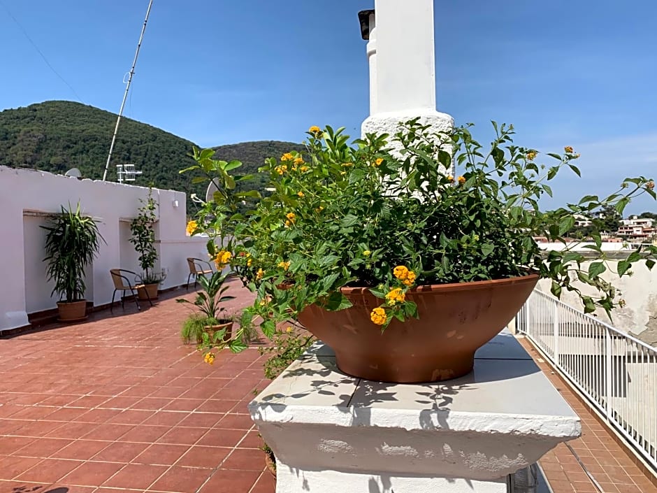 Molo35 – Ischia, CO