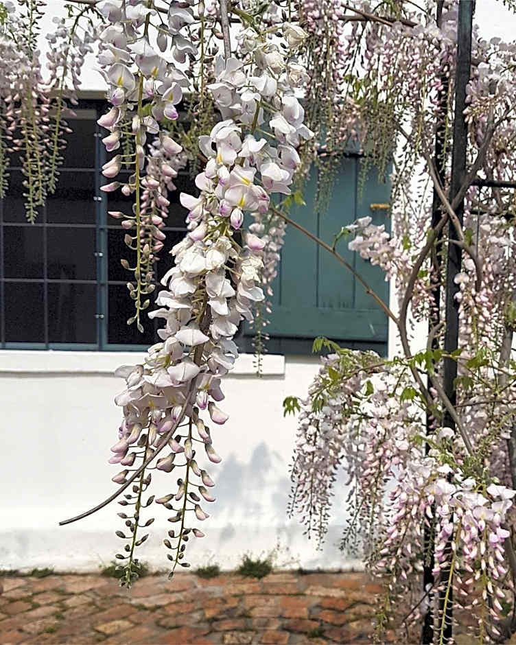 Wildekrans Country House