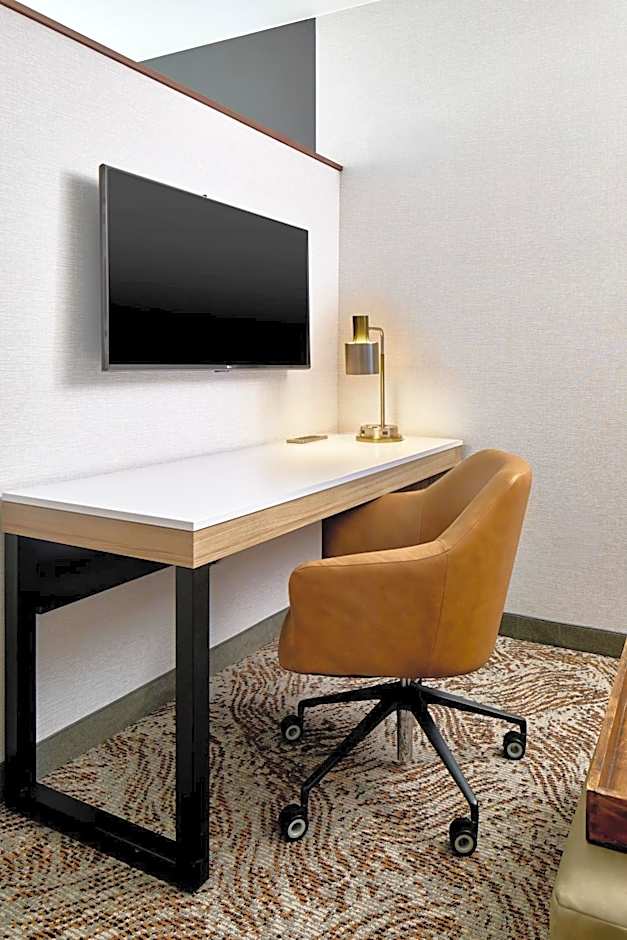 SpringHill Suites by Marriott Moab