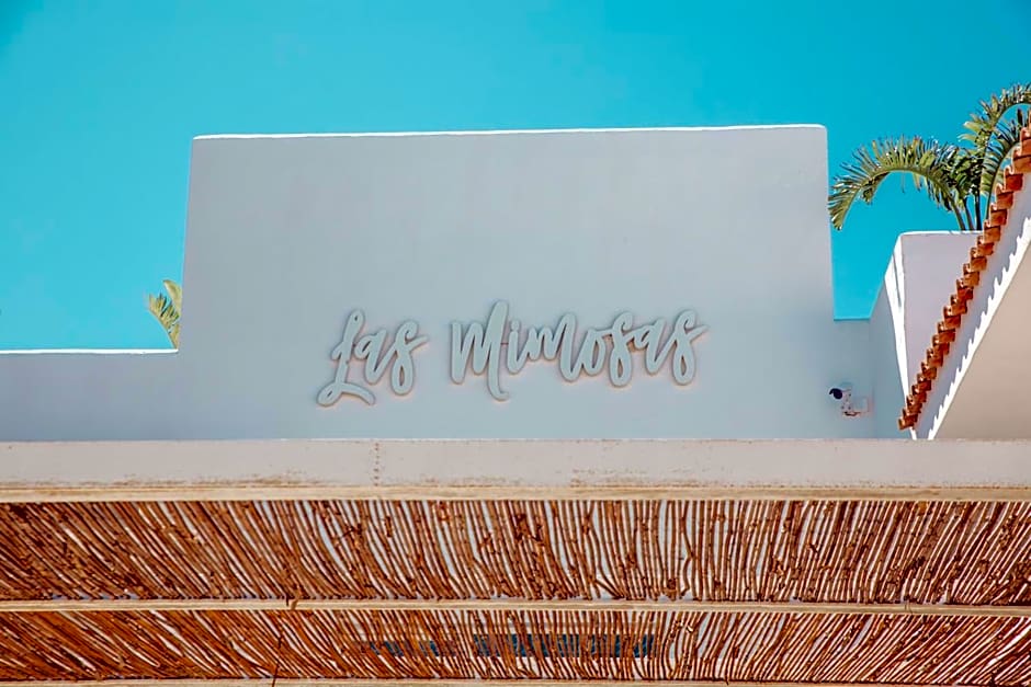 Hotel Boutique & Spa Las Mimosas Ibiza