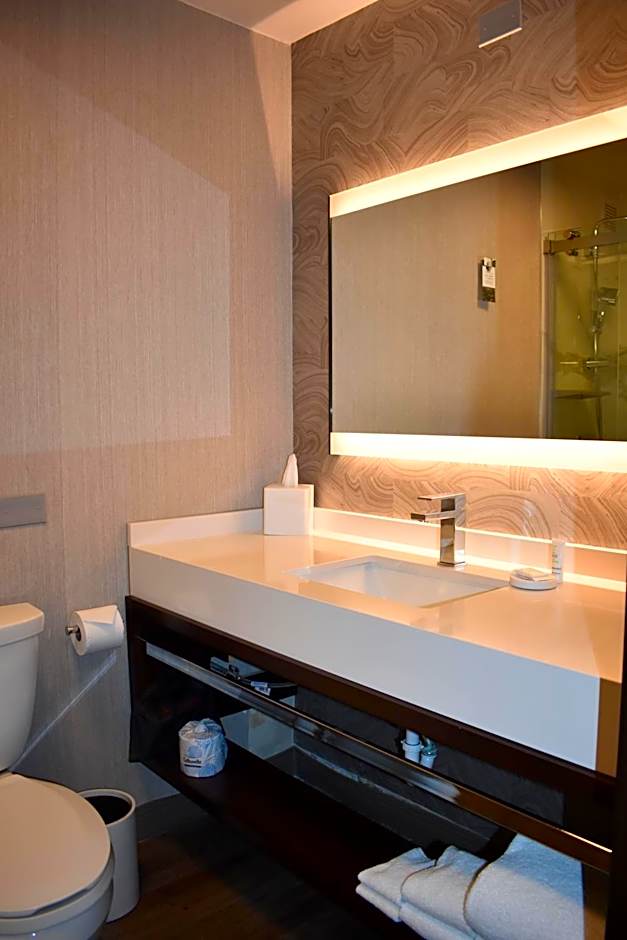 Chicago Marriott Oak Brook