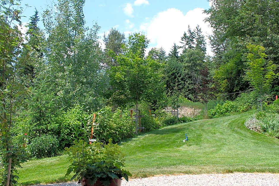 Windborne Bed & Breakfast