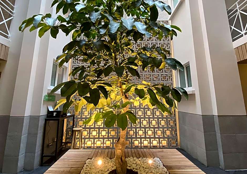 Hotel MX zocalo