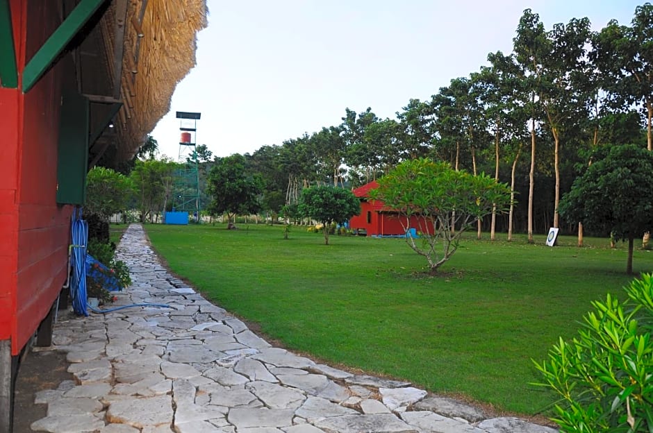 4 Pohon - Les 4 Arbres