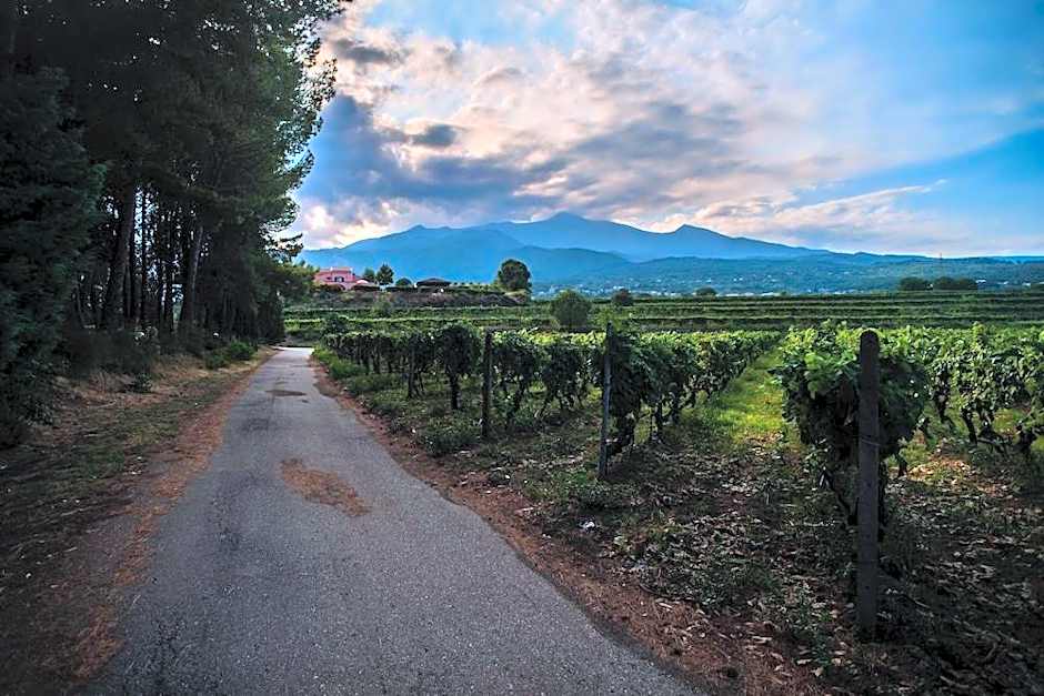 Tenuta San Michele