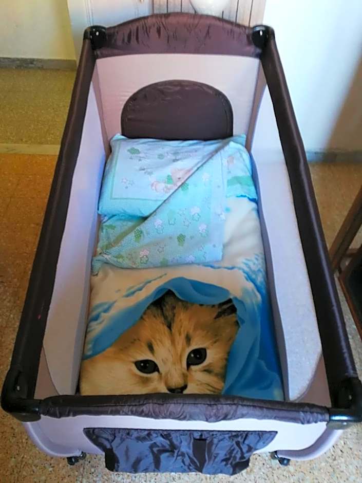 I due Baroni - fronte Campus