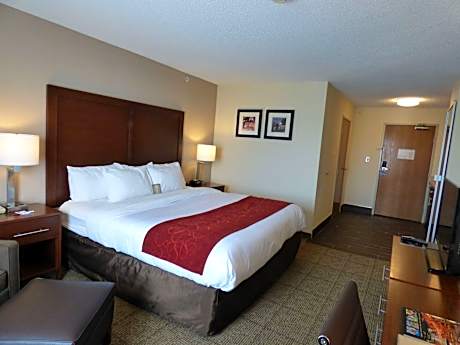 Standard with 1 King Bed