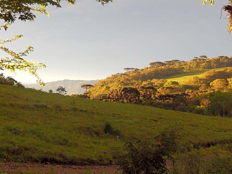 Casa com vista para o vale - Serra Gaúcha
