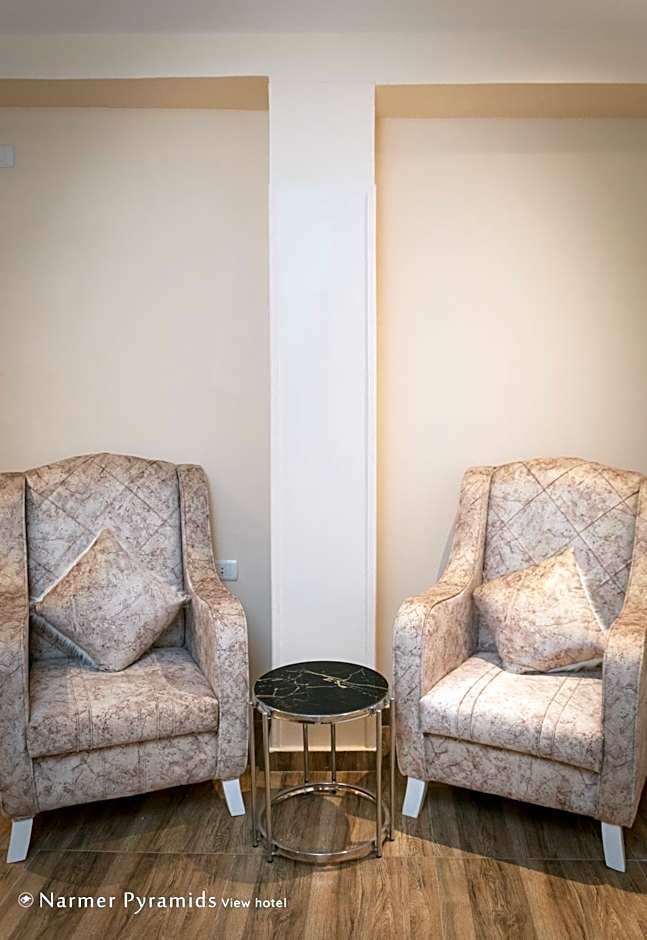 Narmer Pyramids View