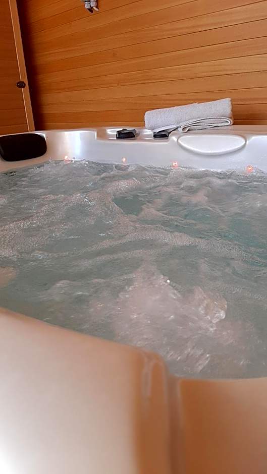WELLNESS HOTEL LÖWE