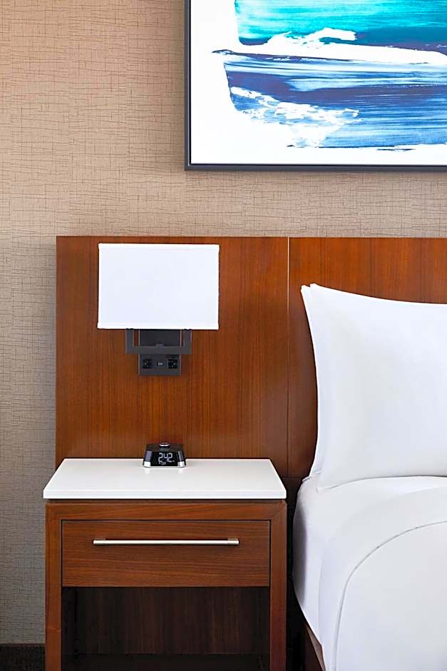 Zdjęcie 1 z 6 — Junior 1 Bedroom 1 King Bed Suite