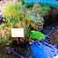 Anaheim Majestic Garden Hotel