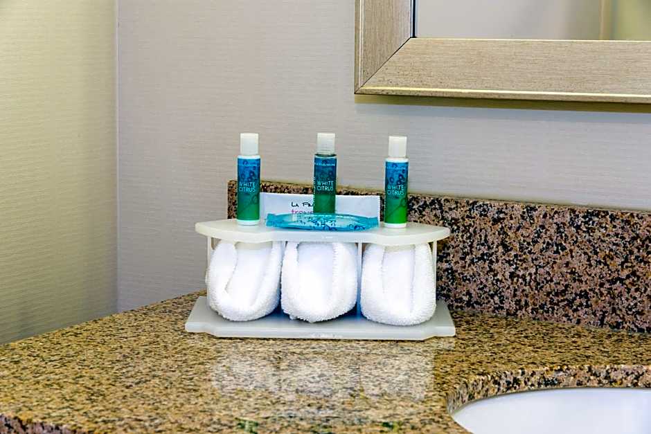 Holiday Inn Express Hotel & Suites Grand Rapids-North By IHG