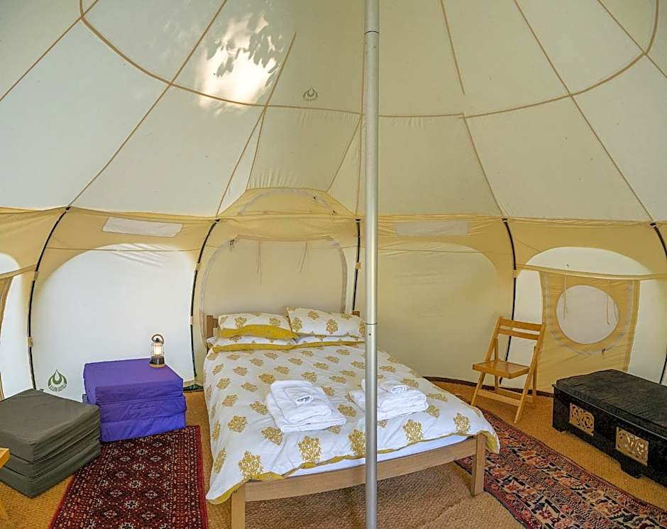 Photo 1 of 7 of Tent