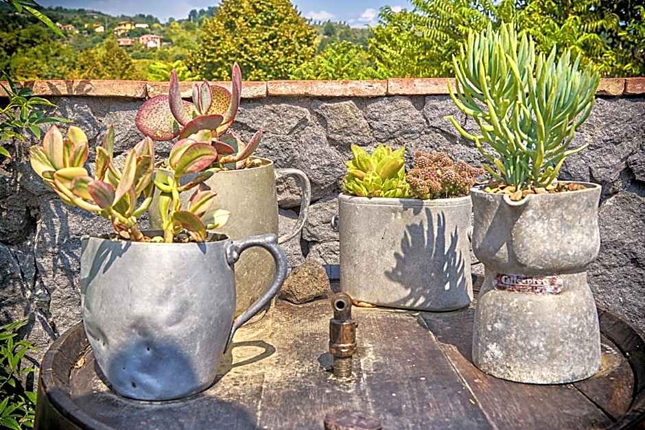Il Casale di Monacella