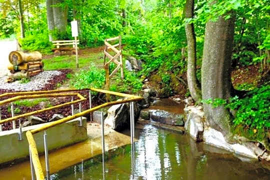 Restaurant Hotel Rüttihubelbad