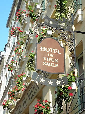 Hotel Du Vieux Saule
