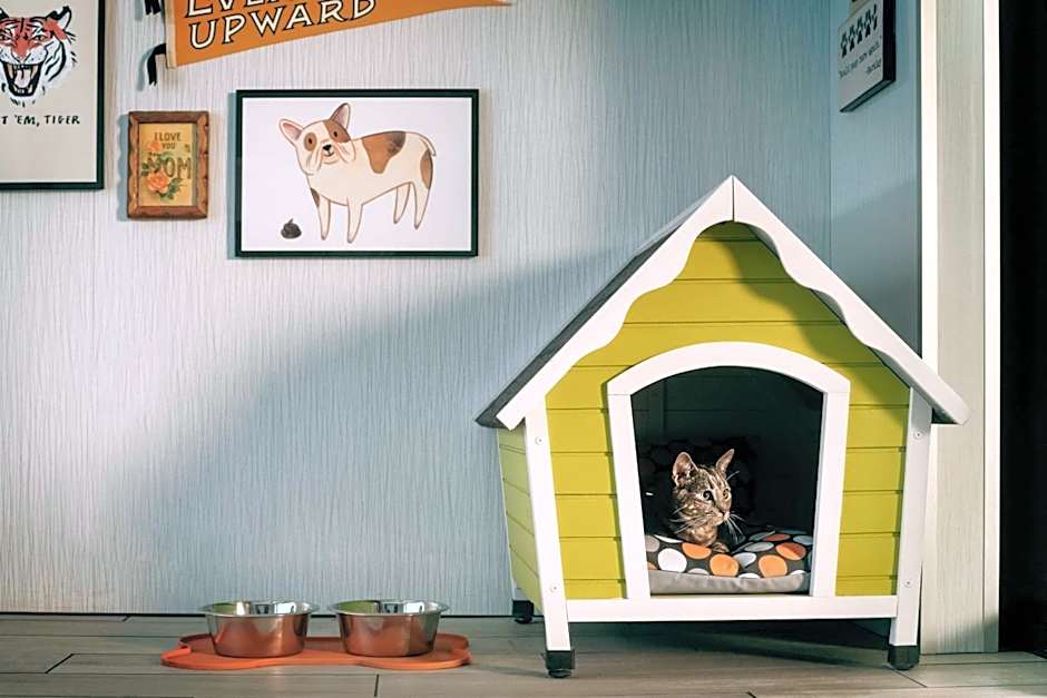 the Curtis Denver - a DoubleTree by Hilton Hotel