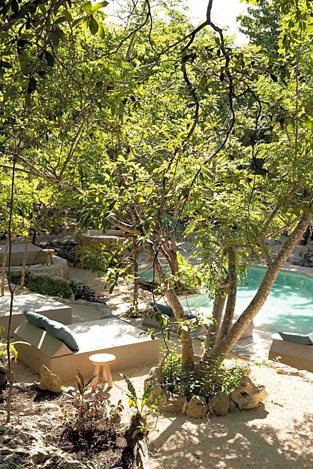 Pepem Eco Hotel Tulum at the Jungle