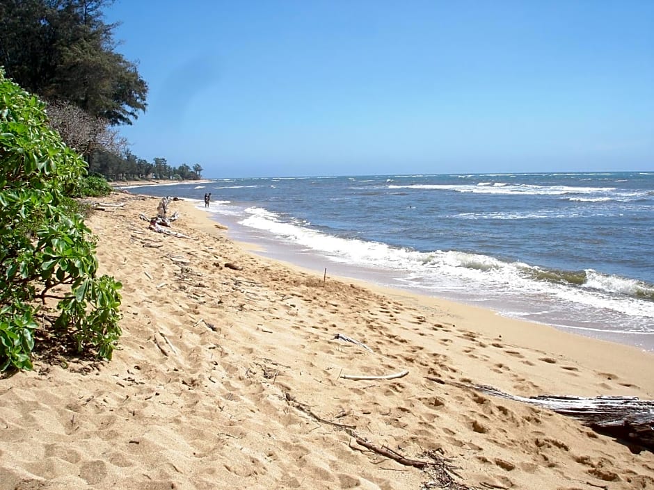 Islander on the Beach Unit 256