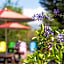 Julie's Garden, Cingjing - Fon Chin Homestay