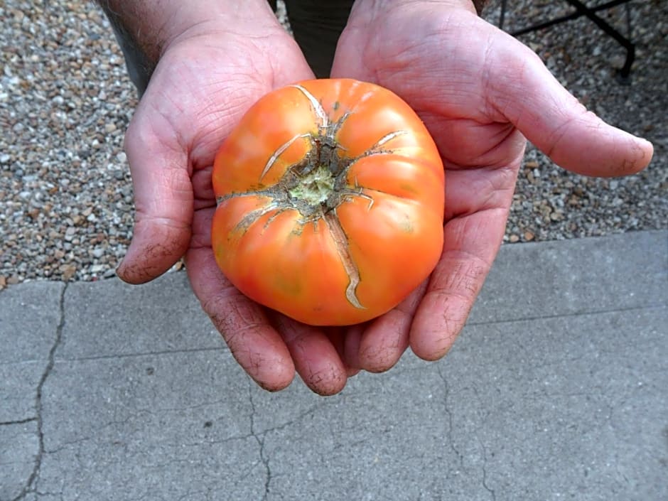 Chambres d'Hôtes La Turone